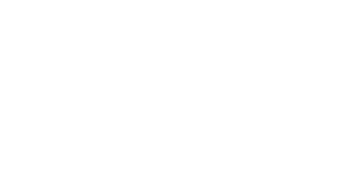 logo enae (2)